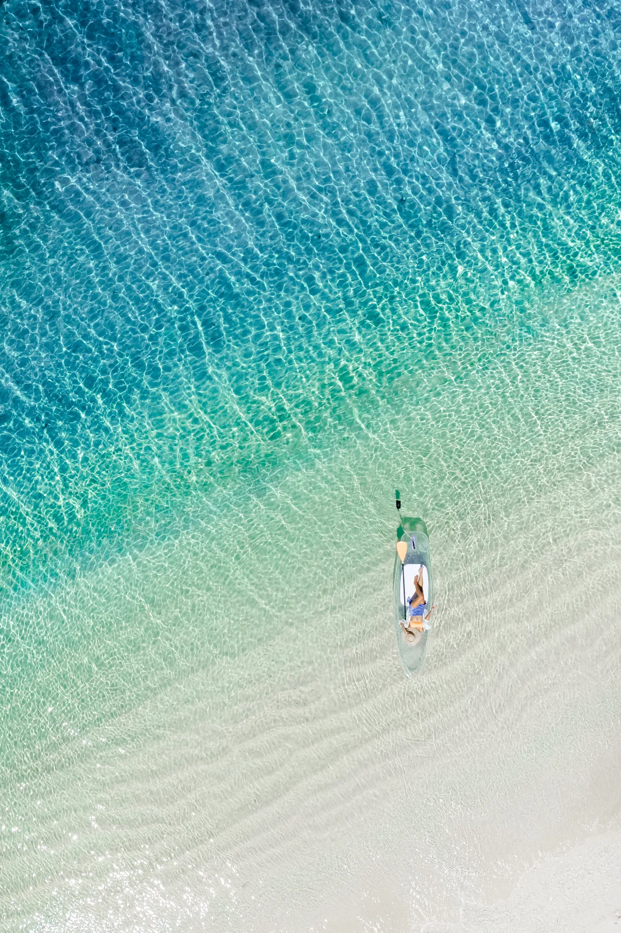 Resort & Landscape